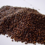 Seabuckthorn Seed